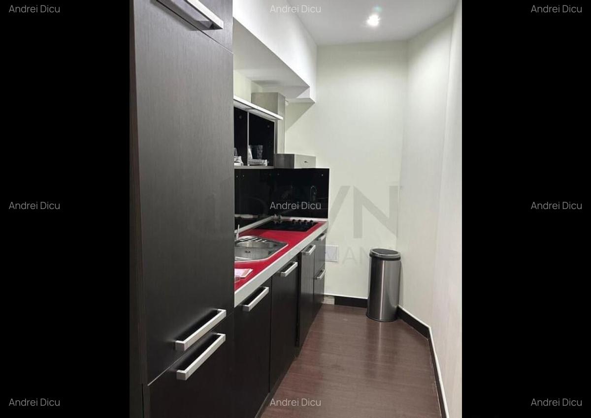 Apartament 2 Camere I De Inchiriat I Herastrau - 9