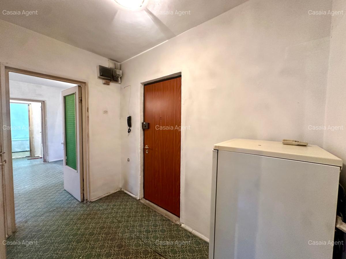 Apartament de vanzare 2 camere/ vedere parc Tineretului/ lângă metrou - 10