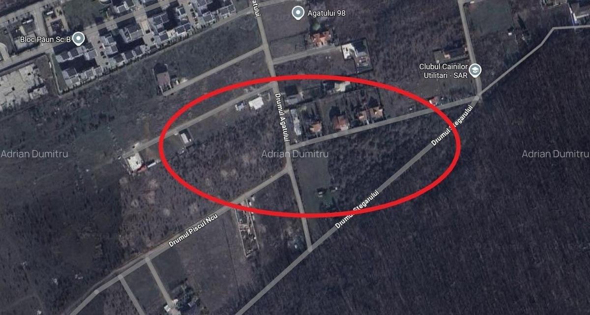 TEREN 1.000 mp langa padure pentru vila - 2