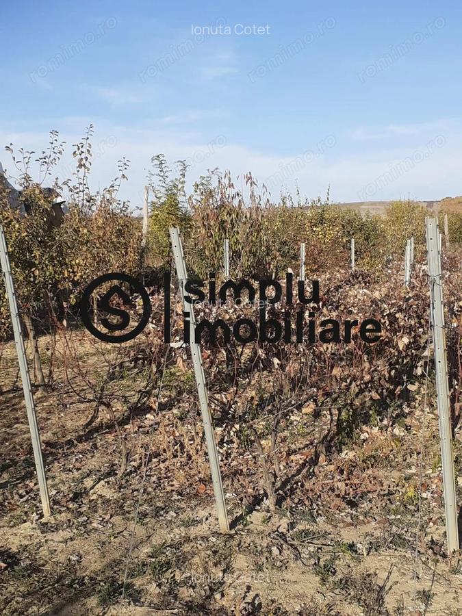 Casa Bradesti, teren 1239 mp - 29 995 Euro - 5