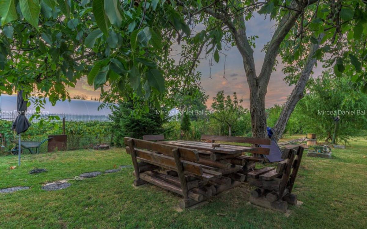 De vanzare vila Cornetu, pentru gospodarul din tine. - 3