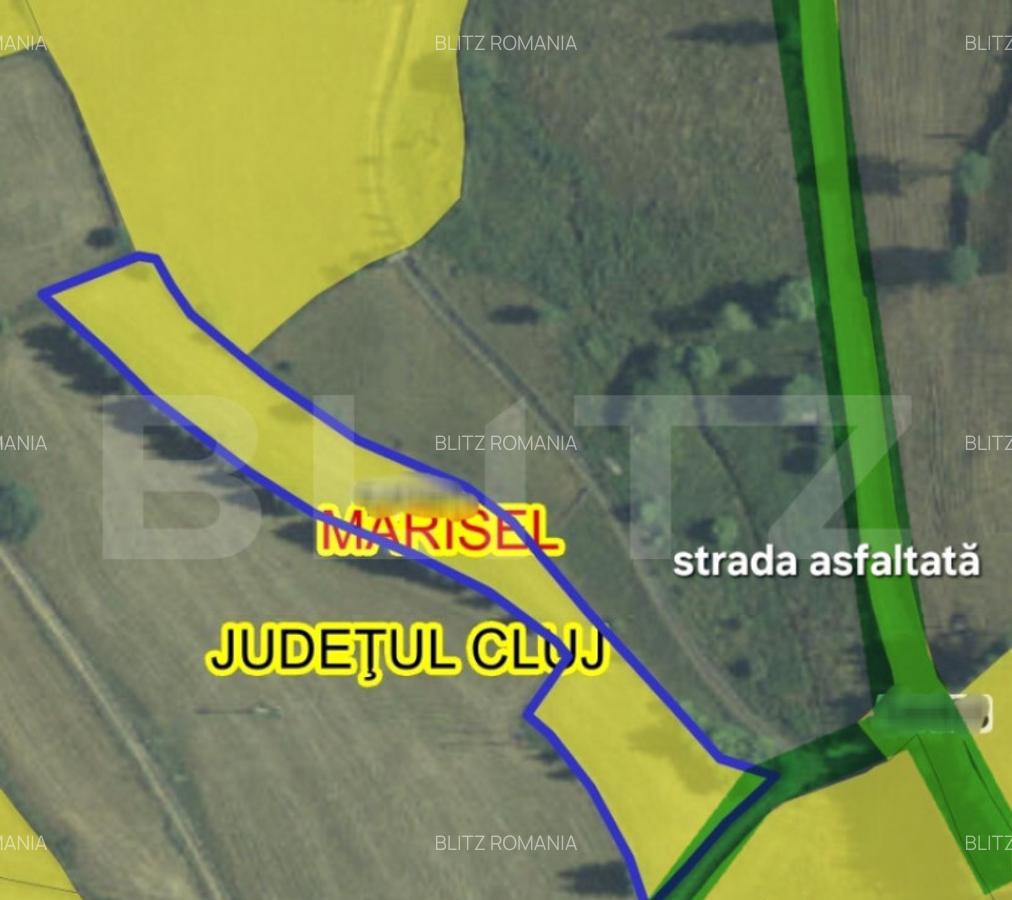 Teren parcelabil, front la strada, 3269mp, utilitati in zona - 2