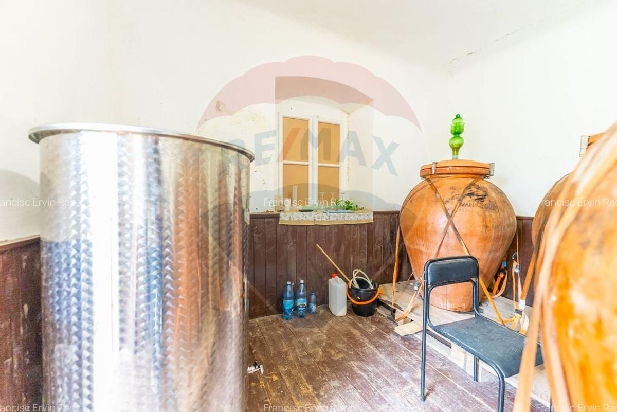 Conac aristocratic secolul XIX , domeniu  2,5 hectare -- Paulis, Arad - 20