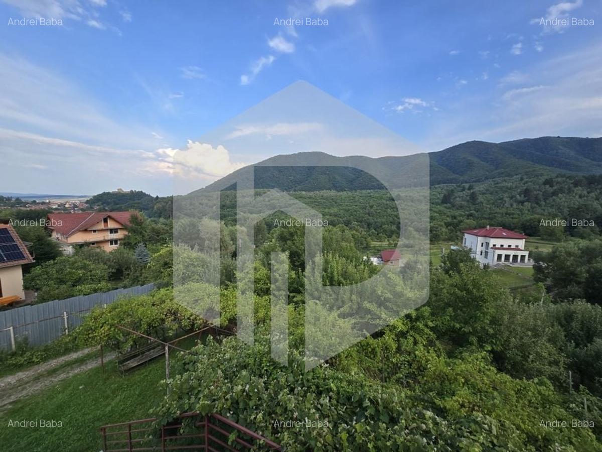 Casa individuala 4 camere teren 3825 mp Cisnadioara - 23