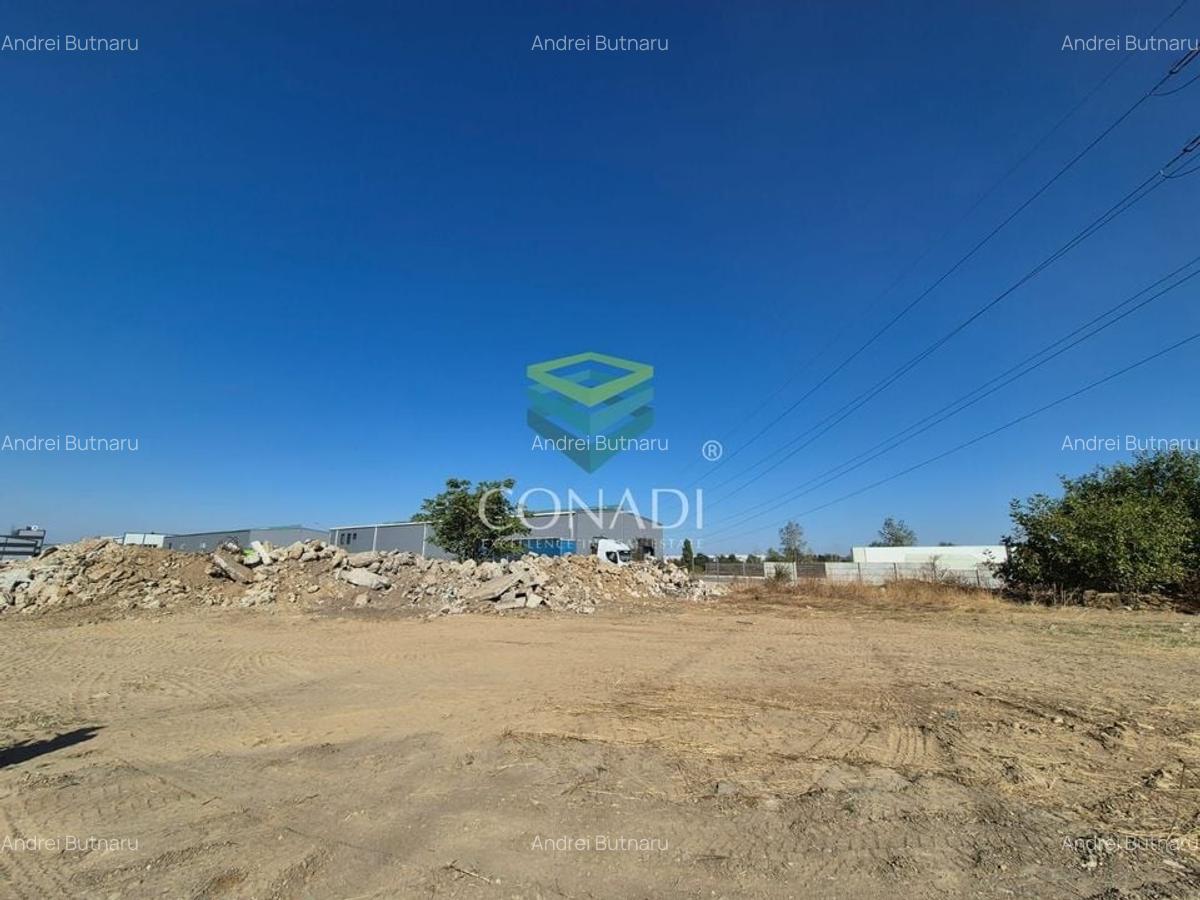 Teren Cernica - Oxigenului -  6.835 mp - 2