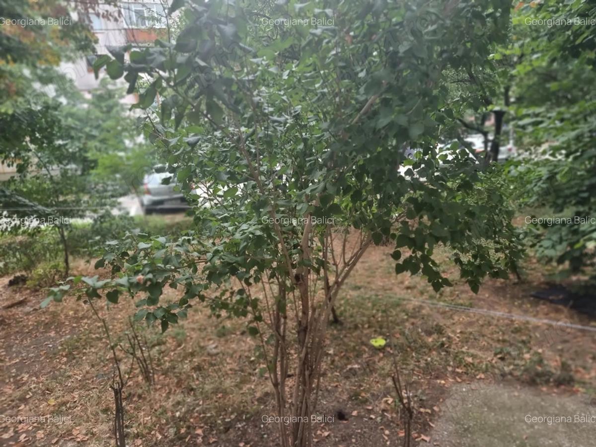 Vand apartament 3 camere - 10