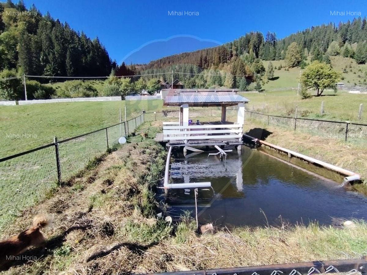 Casa in Vatra Dornei, zona Argestru, cu 11.541m.p. TEREN INTRAVILAN - 21