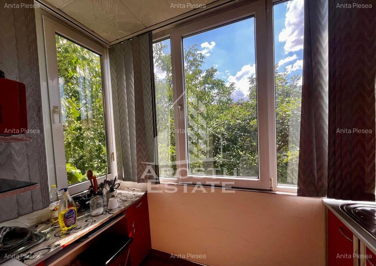 Apartament 2 camere,decomandat,zona Lipovei - 9