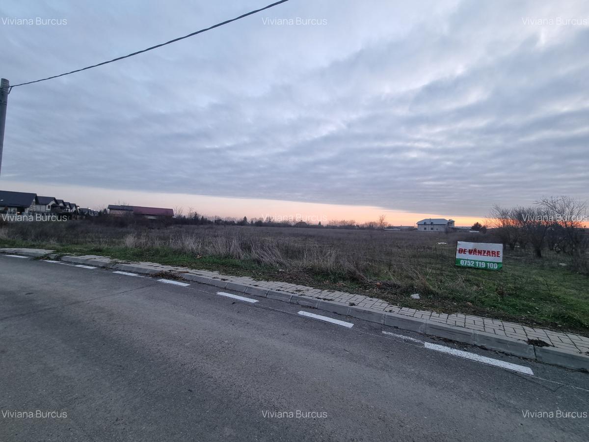 Teren Construcții intravilan de 11173 mp, în Domnești - 2