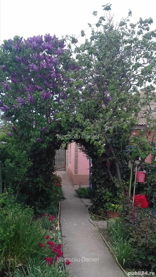 Casa de vanzare Salcioara TL - 6