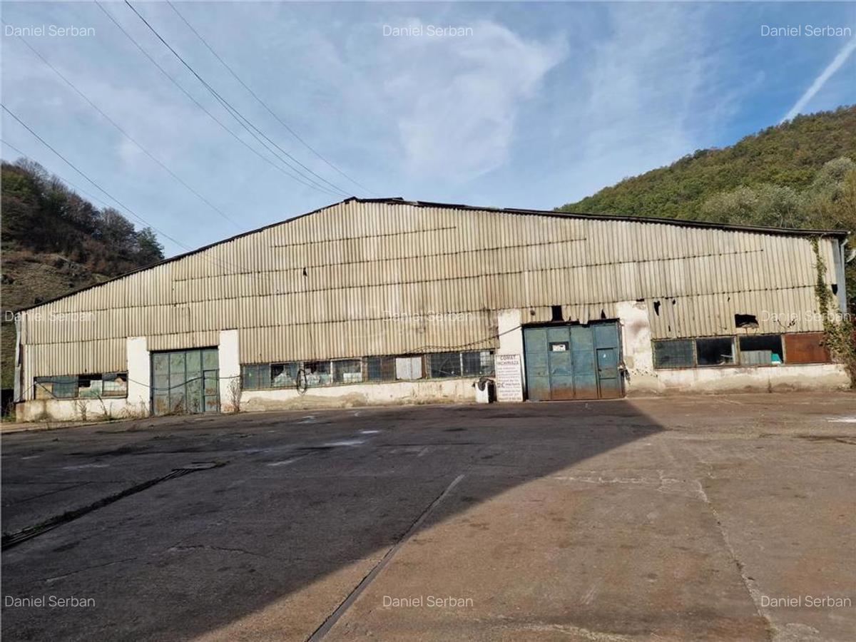 Resita CHIRIE Hangar 3600 Mp - 7