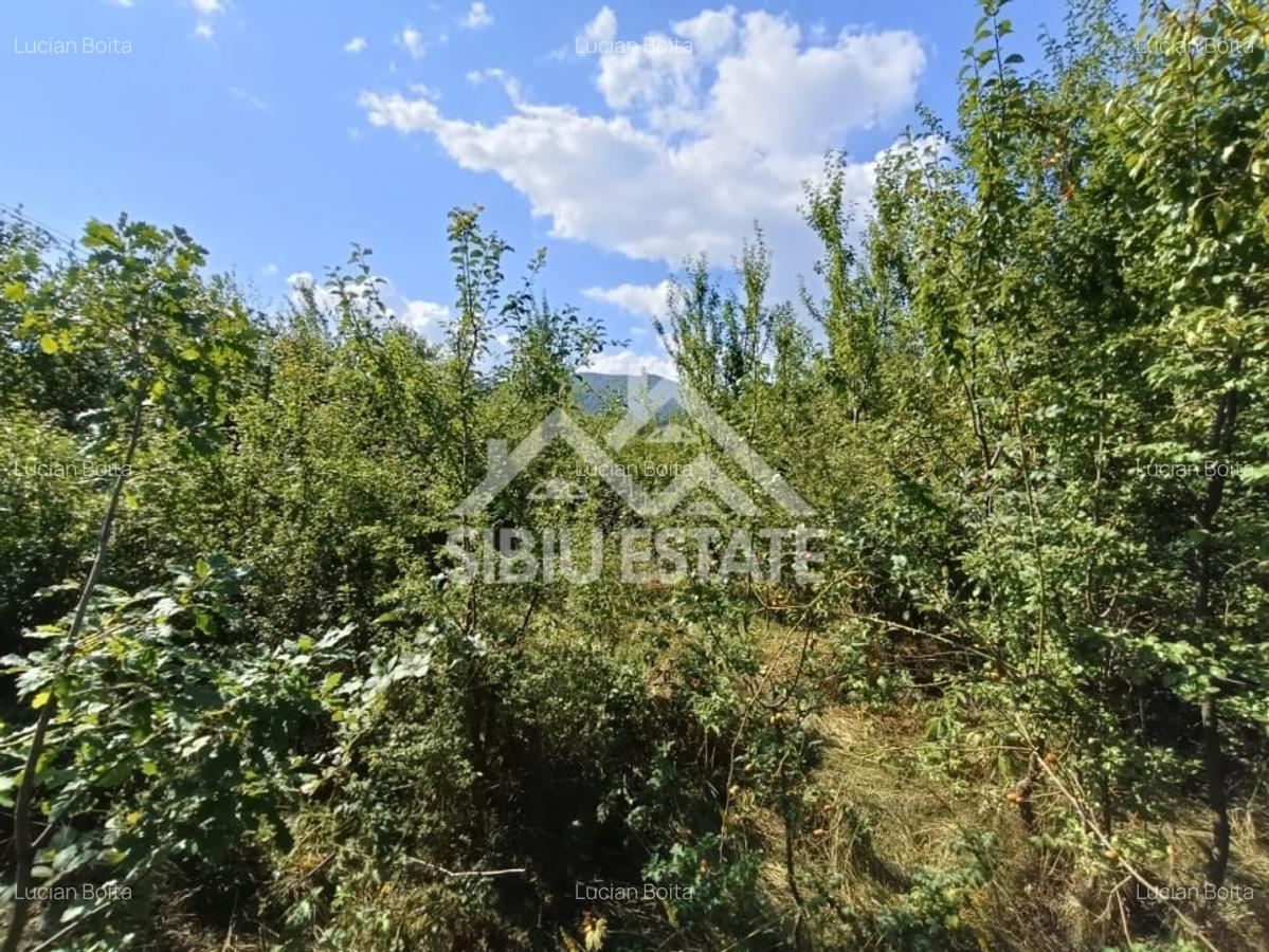 Teren  construibil ,la sosea, intre Vale si Sibiel, zona cu potential - 10