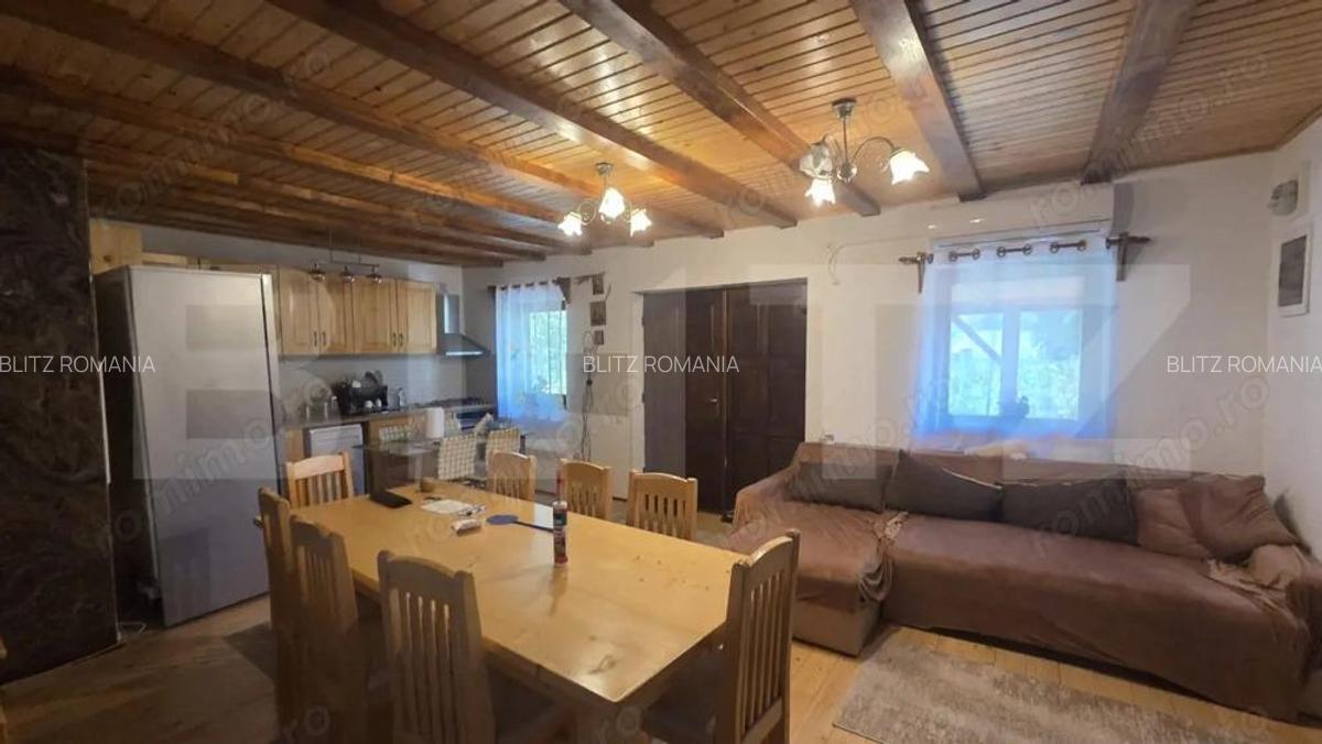 Casa de vacanca cu potential turistic, 1603 mp teren, Cernatesti - 3