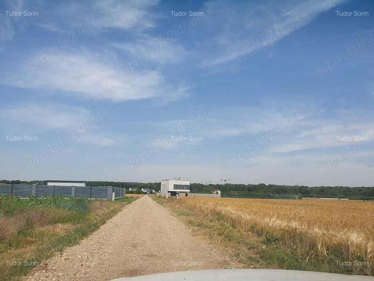 Teren situat in Balotesti,langa padure,acces drum pietruit, 28000 euro - 10