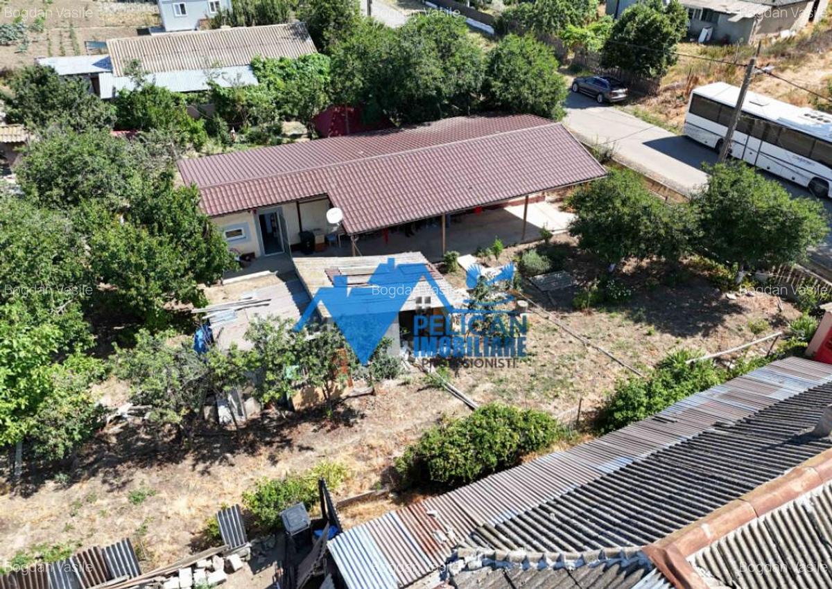 Casa cu teren in Cataloi - 2500mp - 9