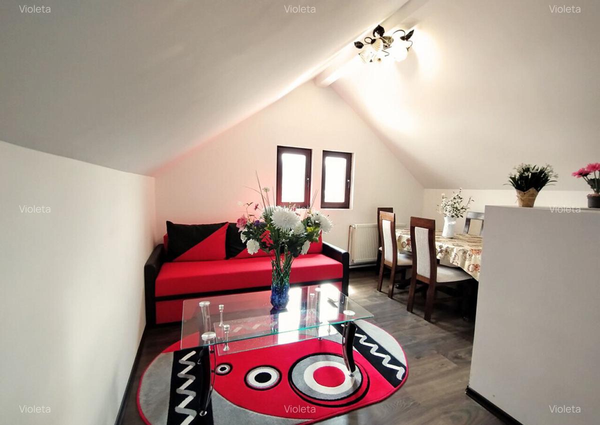 Busteni zona garii apartament 3 camere in vila - 5