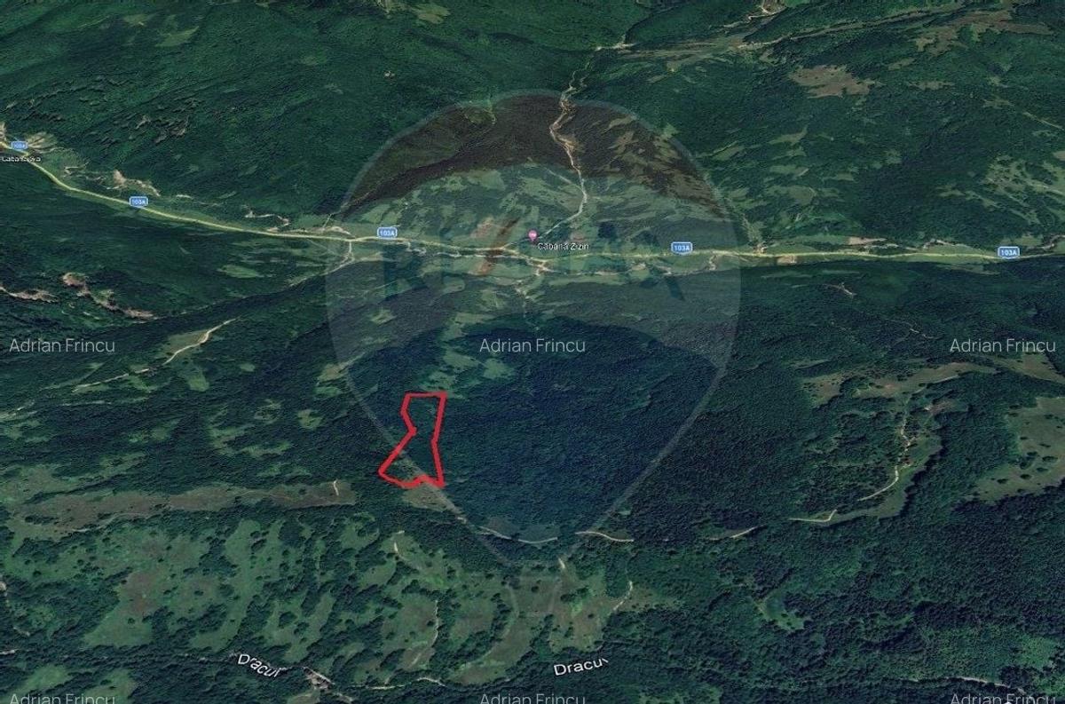 Teren extravilan de 14600 mp, în Tărlungeni - 8