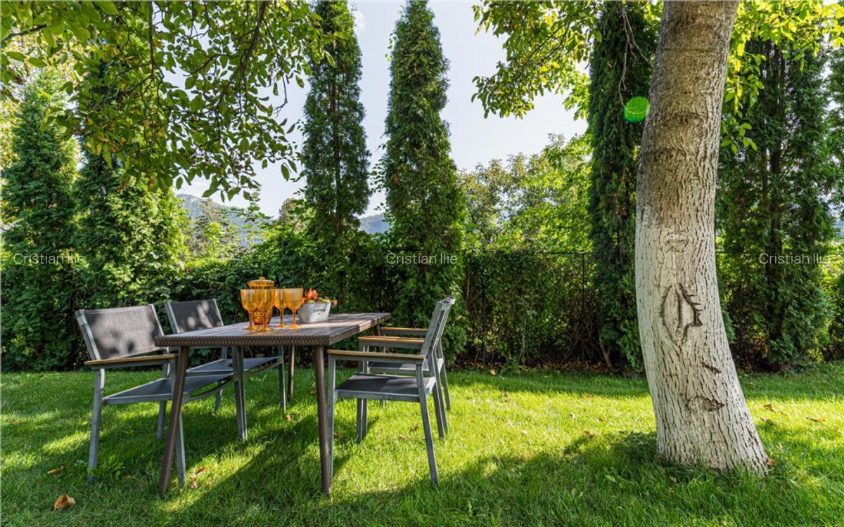 Vila Exclusivista Drumul Poienii / Pretabil Regim Hotelier - 10