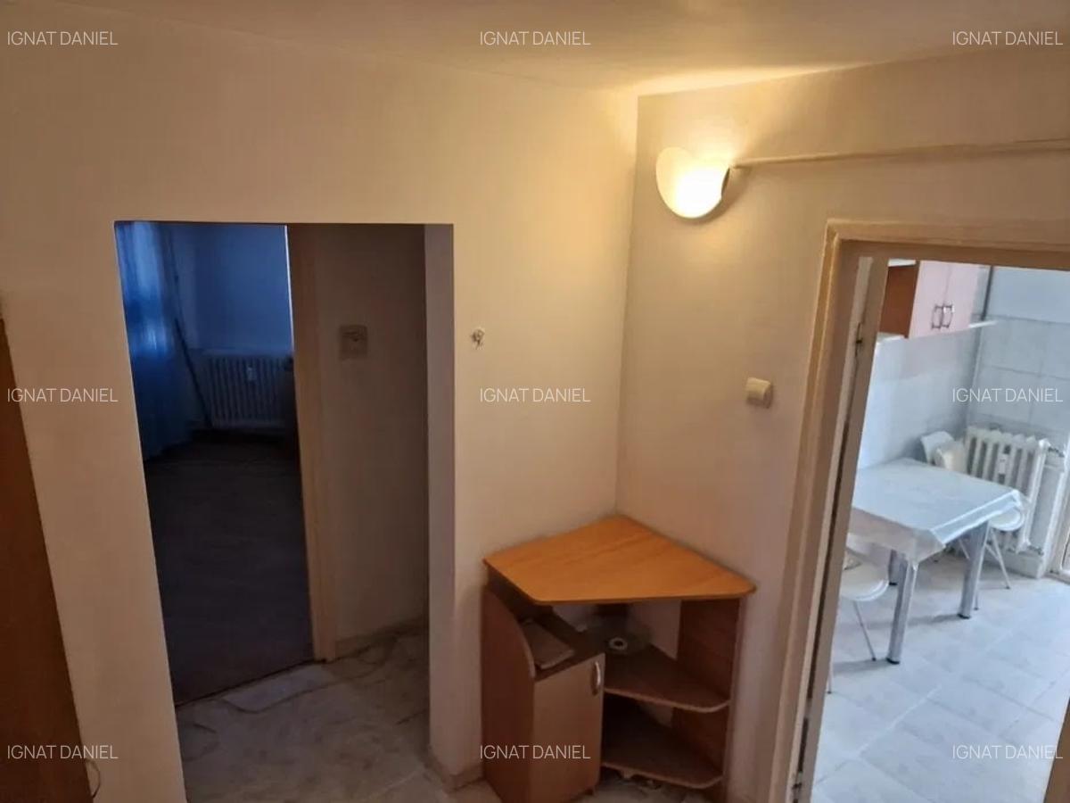 Apartament cu 2 camere, decomandat, PET FRIENDLY, zona Nicolina-Lidl - 4