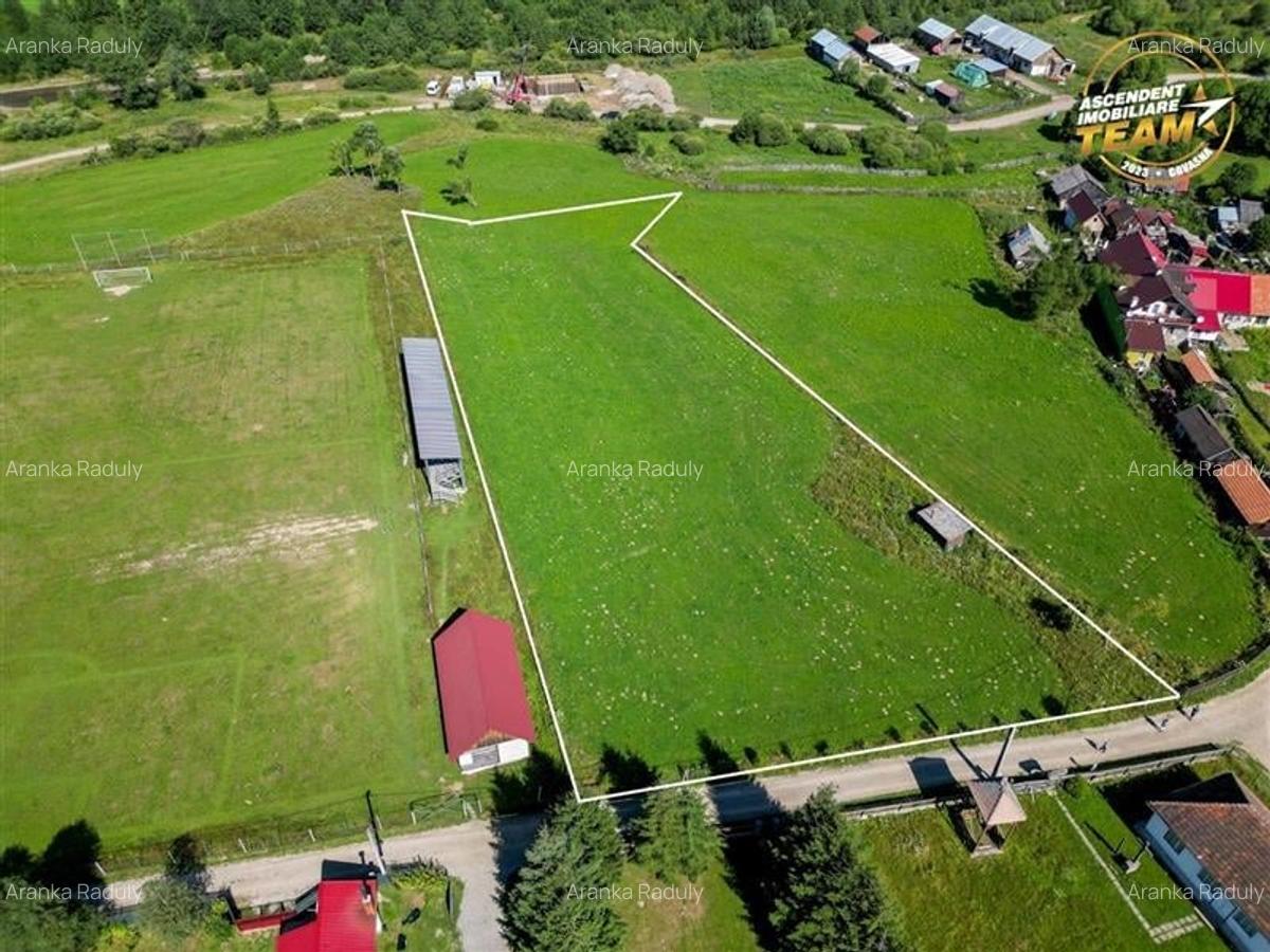 FILM! Context favorabil:Teren intravilan, 5.500mp, zona pitoreasca Comandau - 2