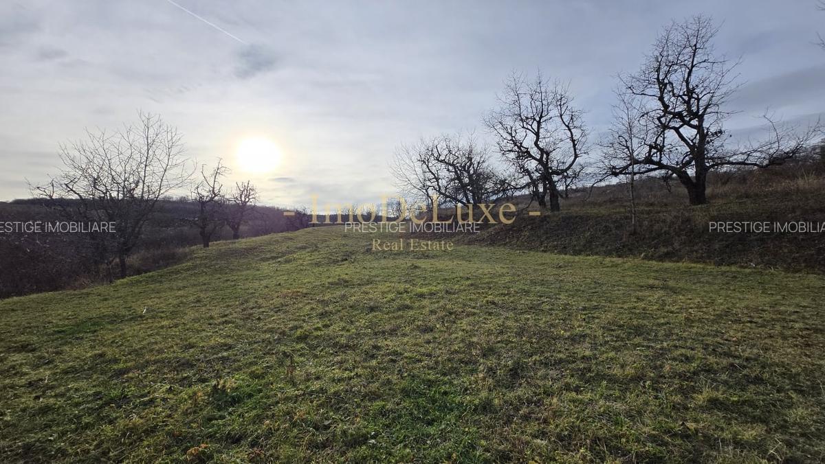Teren extravilan langa lac, 8500mp, priveliste, acces, utilitati, zona Baciu - 5