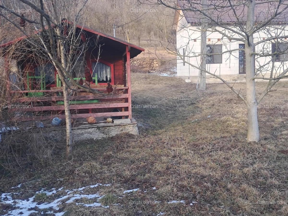 Vand casa de locuit langa Ha?eg, jud Hunedoara . - 8