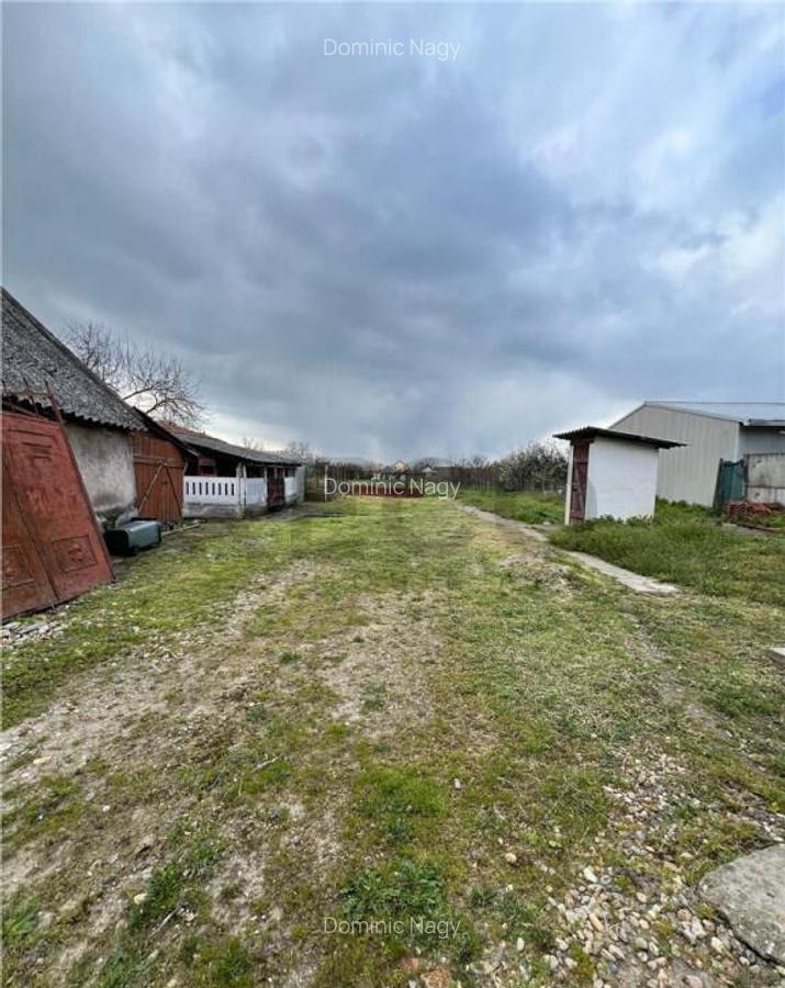 RECO Casa cu spatiu comercial in Biharia - 18