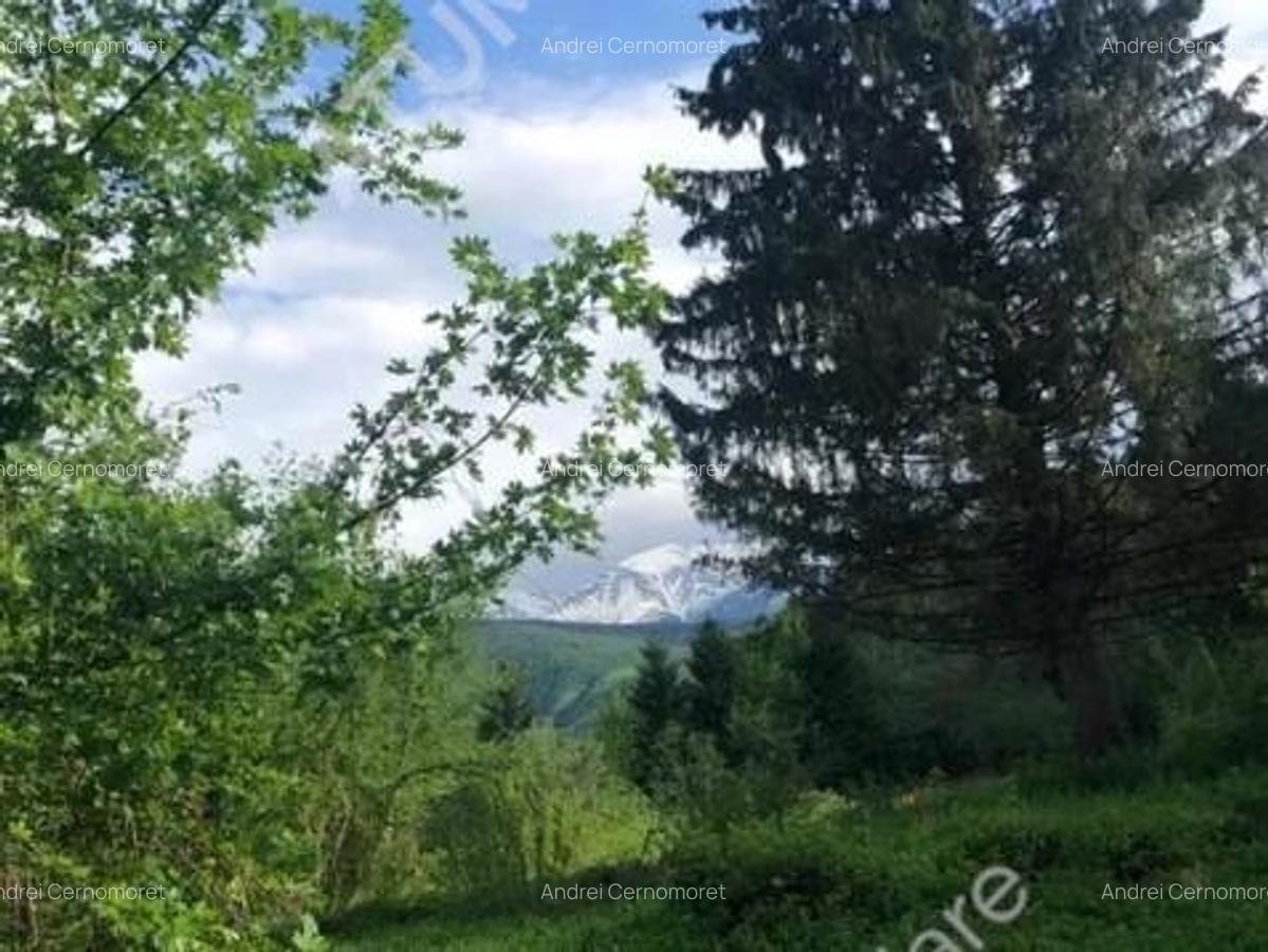 Teren intravilan in Avrig zona turistica Valea Avrigului 2000 mp - 3