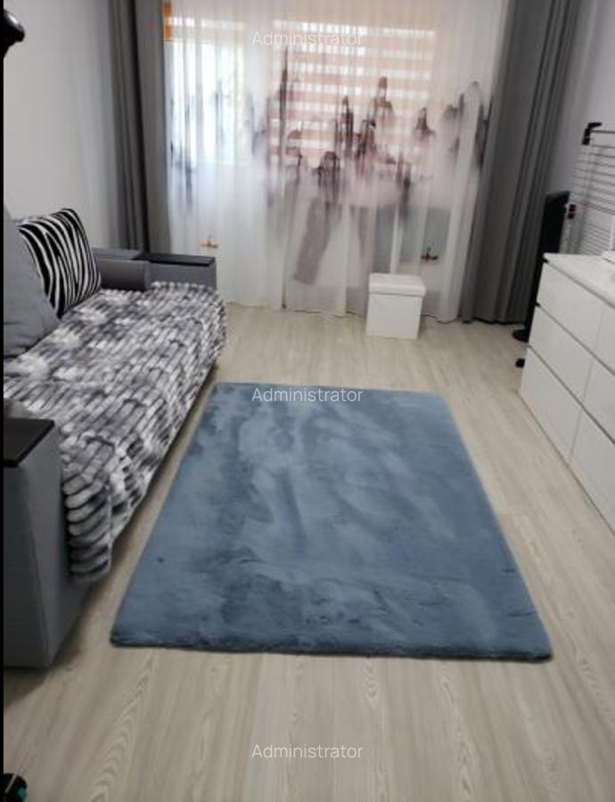 39262  Apartament 3 camere Casa de Cultura - 2