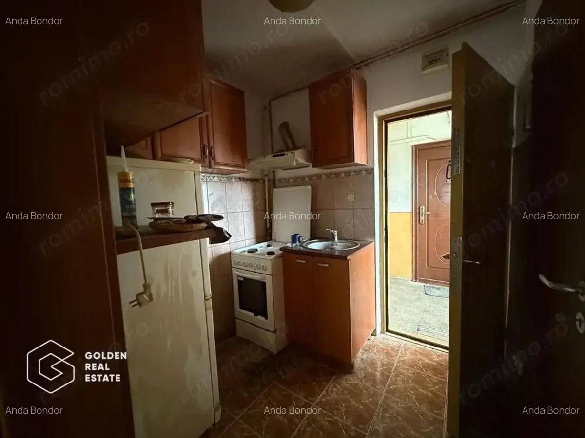 Garsoniera zona Iosefin, langa Turnul de Apa si malul raului Bega - 3