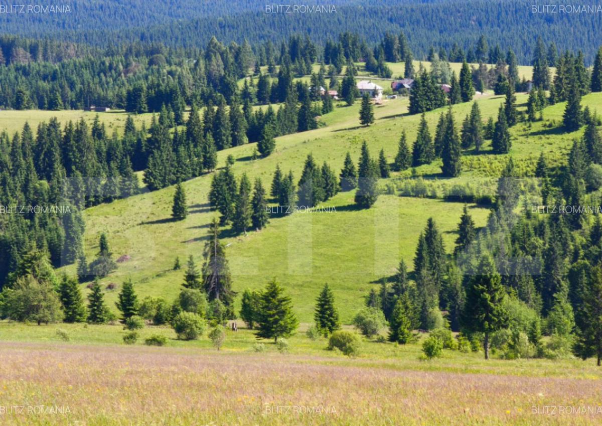 Teren extravilan 28 ari,zona Piatra Fantanele - 5