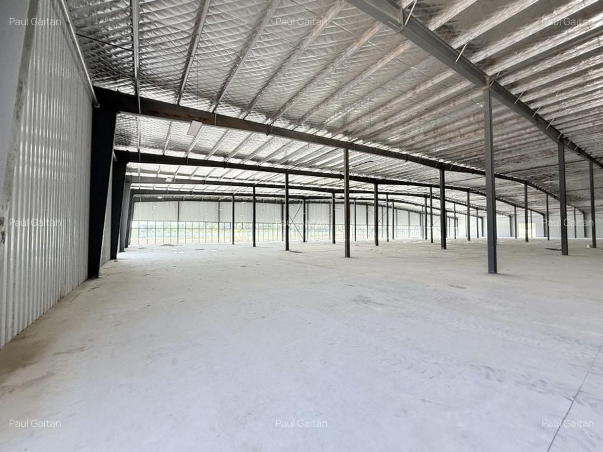 Centru Comercial  24202 mp hale depozitare productie logistica - 17