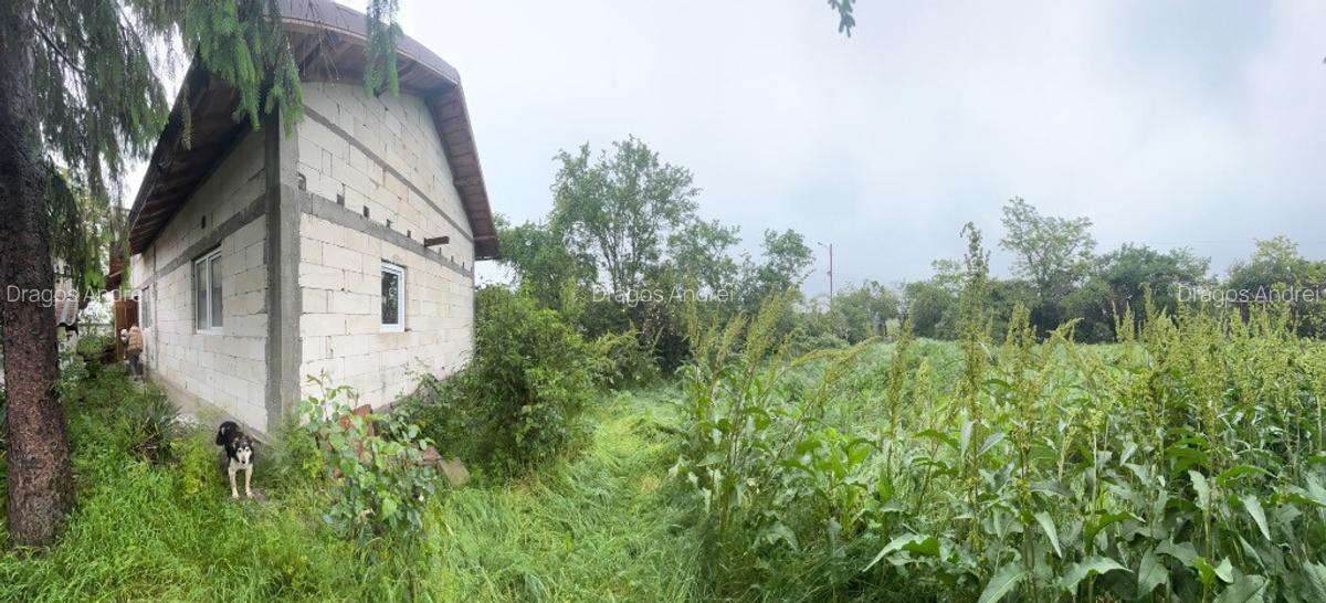 De vanzare casa 3 camere la rosu - 3