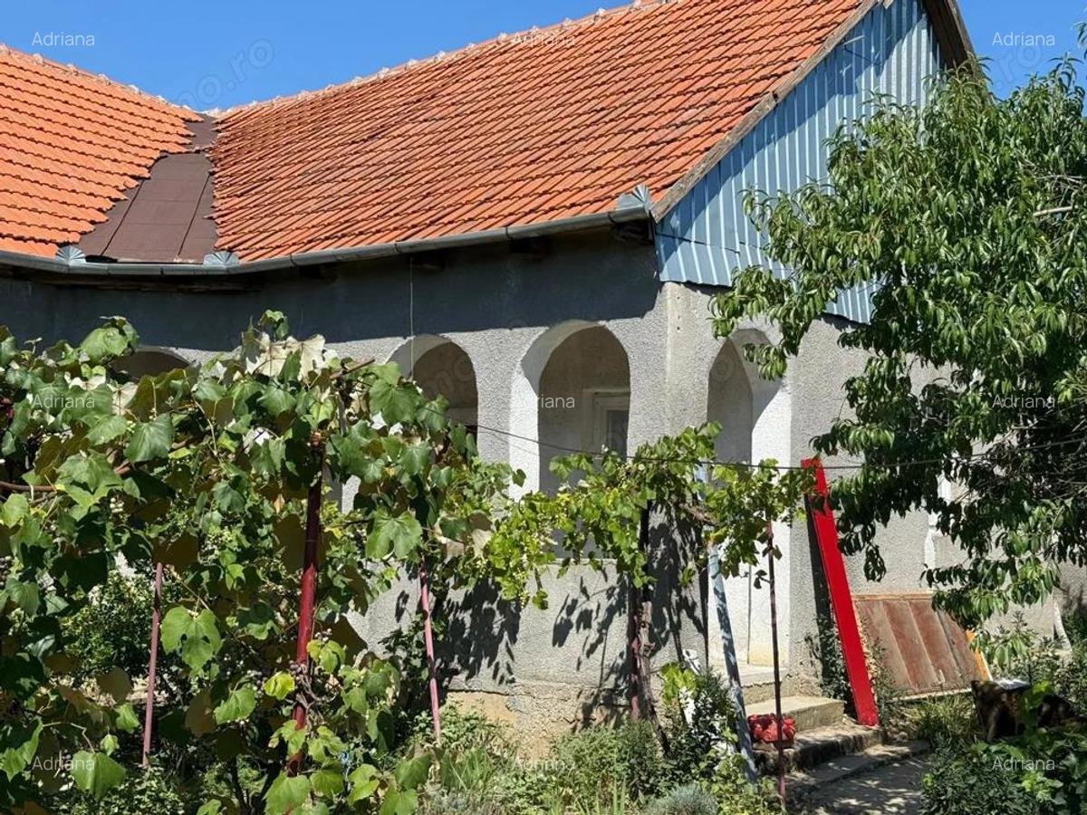 !! Casa individuala Ficatar Jud Timis ...50km de Timisoara - 1