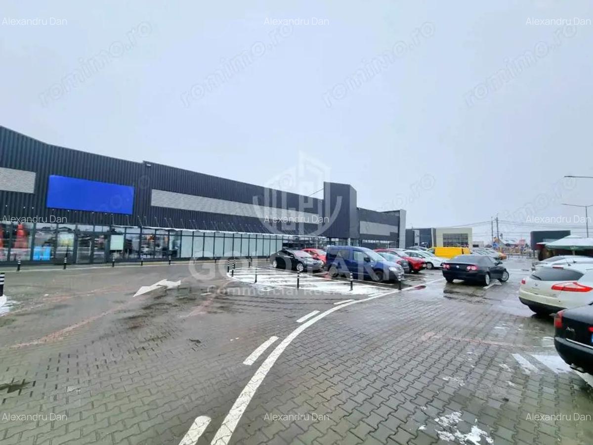 Spatiu Comercial in Centru Comercial - Zona Traian Vuia - Parcare - 19