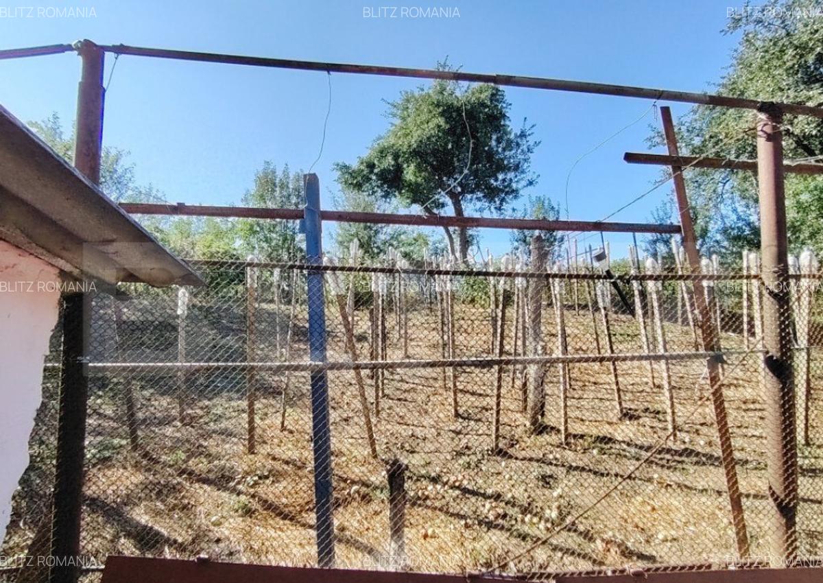 Casa tradi?ionala cu 3 camere, teren mare ?i gradina i - 17