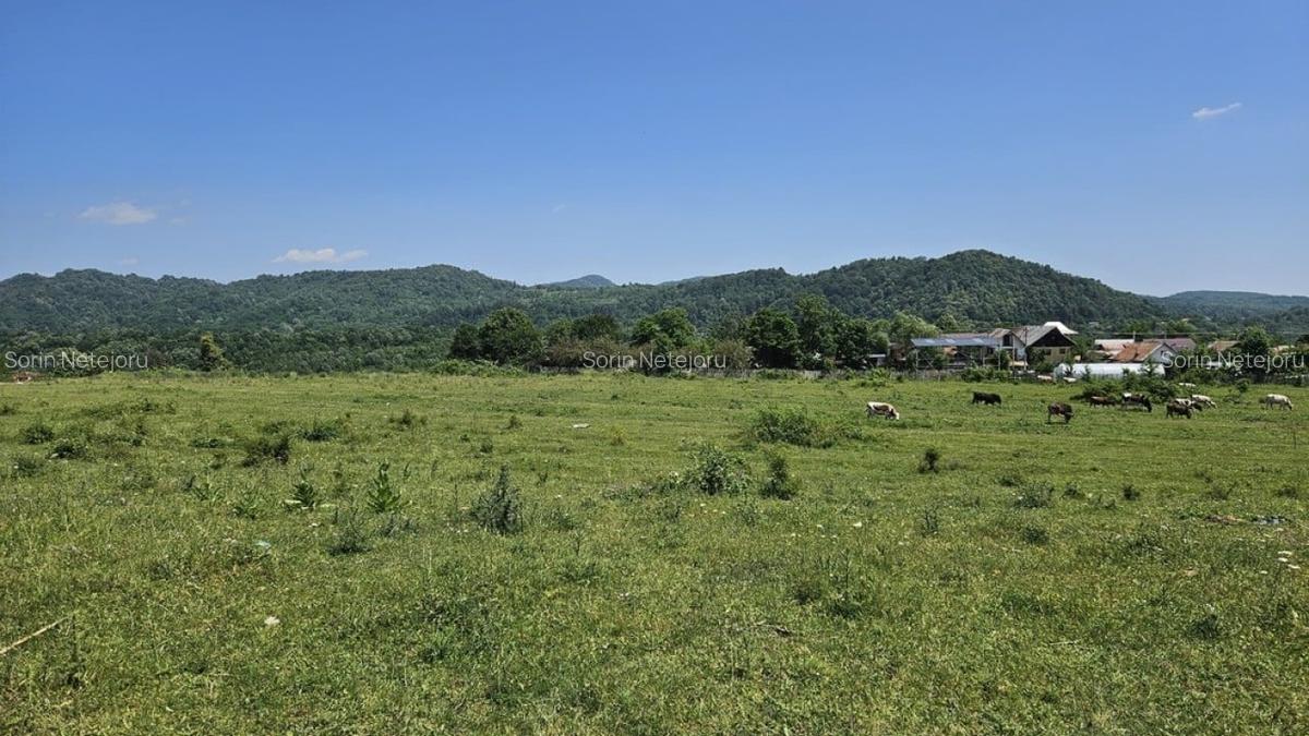 Teren Construcții intravilan de 1209 mp, în Câmpina - 5