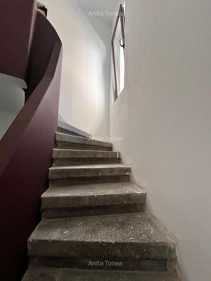 Casa Individuala - Gradina Icoanei - 11
