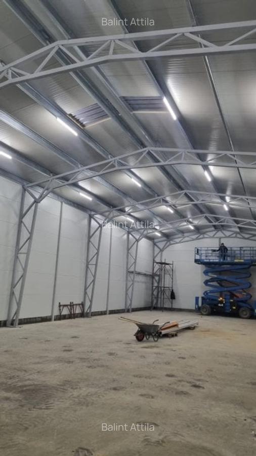 Giarmata Mare hala noua 2300 euro - 6