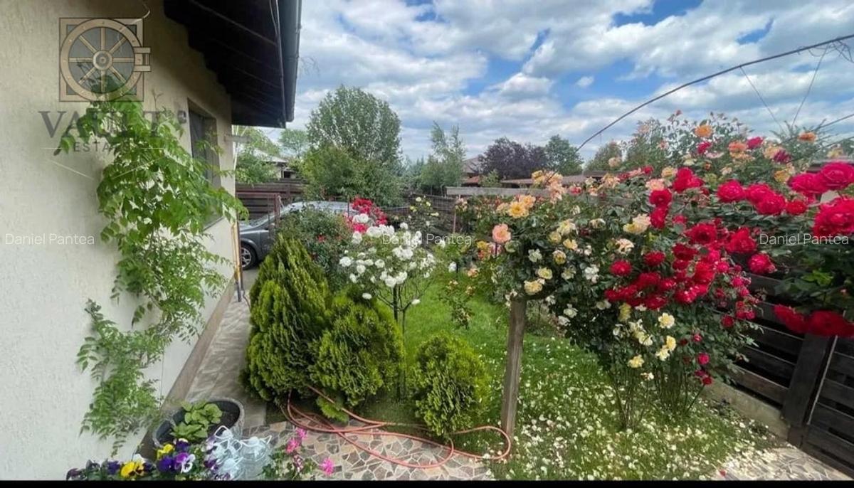 Casa individuala Balotesti - 2