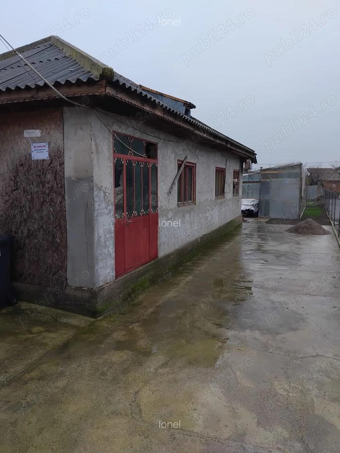 Casa de vanzare in Manasia - 5