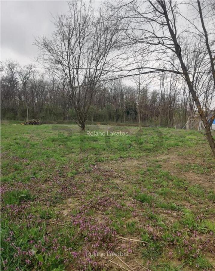 RECO . TEREN INTRAVILAN PALEU - 4