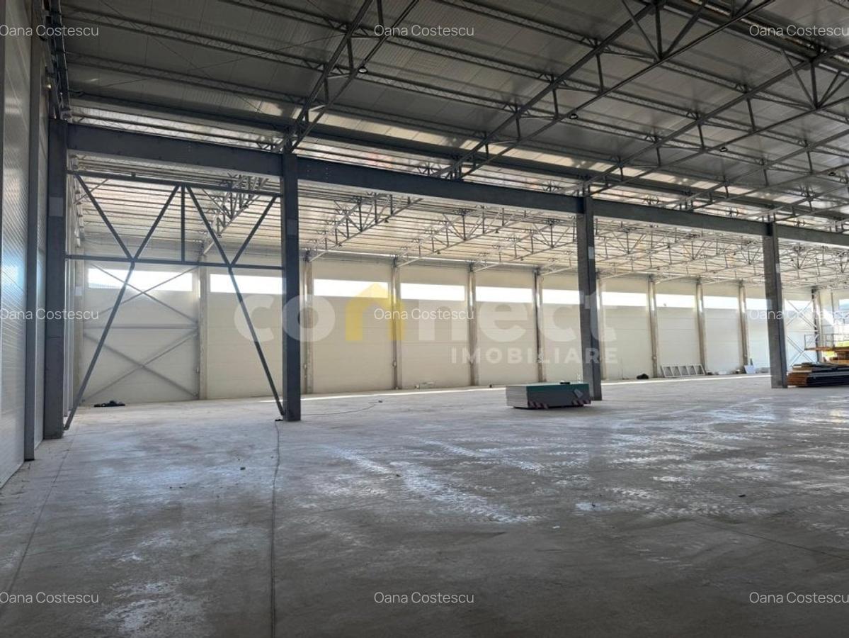 Hala industriala moderna +birouri in Baciu 1380 mp - 4