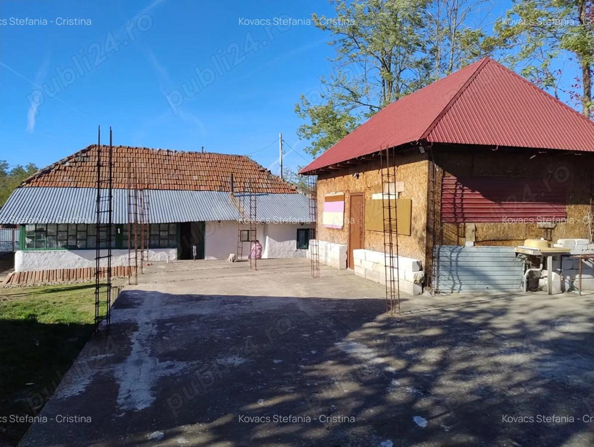 Vand casa batraneasca - 6