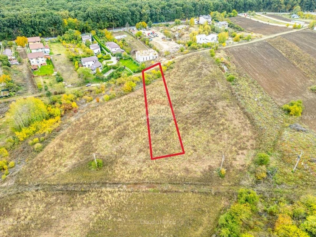 Teren 3000 mp in Snagov - zona in dezvoltare, aproape de padure - 5