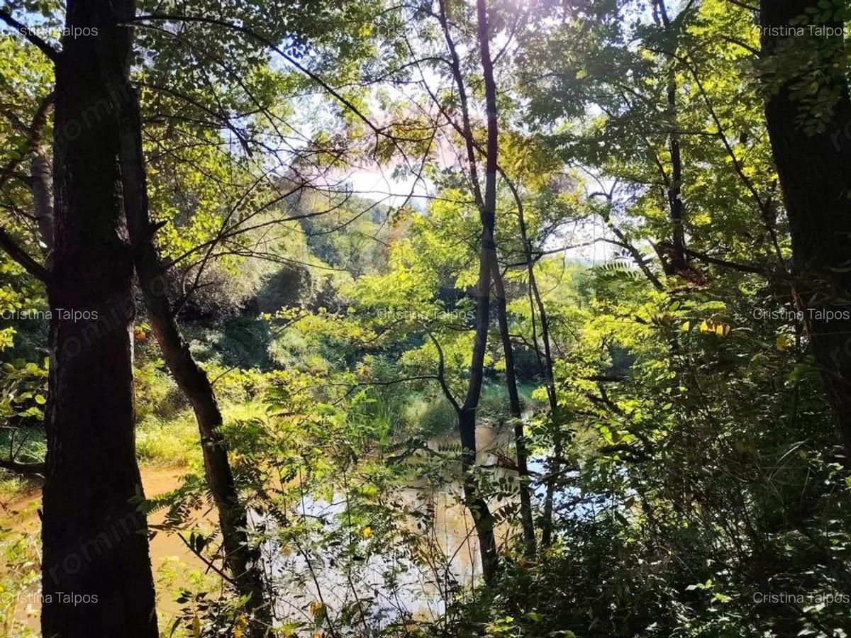 Exclusivitate! Casa cu anexe si teren generos, langa Jibou-Comision 0% - 15