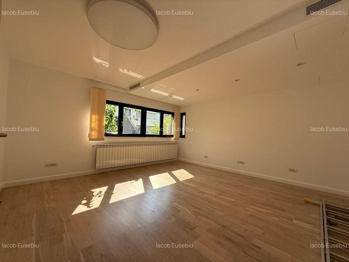 Spatiu comercial | 300MP | Dorobanti - 11