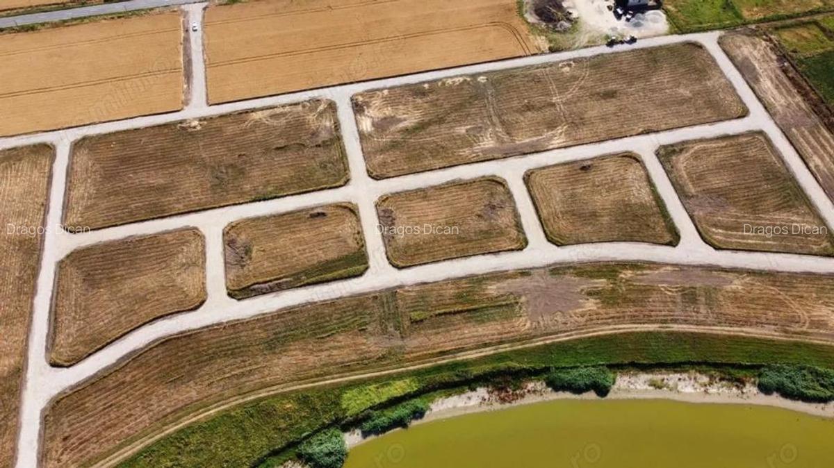 Intravilan In Rate in Frumusani-Pasarea | utilitati gaz, curent | #RG1 - 8