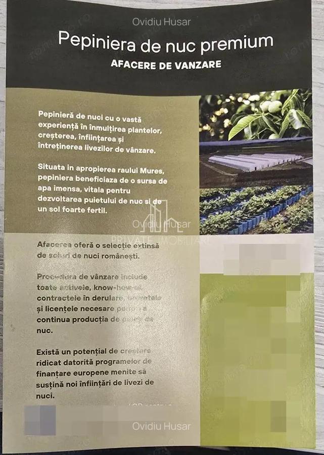Afacere de Vanzare/ Pepiniera Moderna cu Teren 2,37 Ha, Sg de Mures - 3