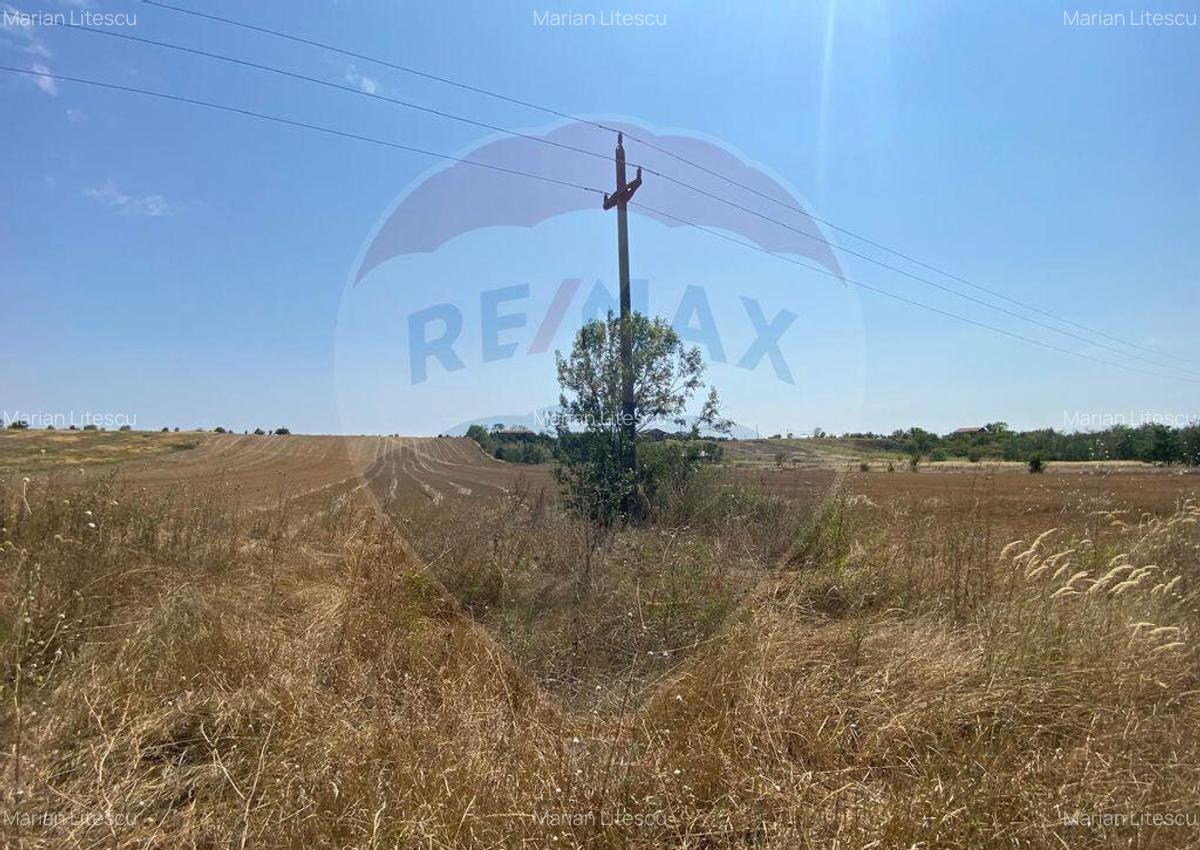 Teren cu hala, Bucsani, Crevedia / DN 61 (A1, A0) 40 Km ... - 3